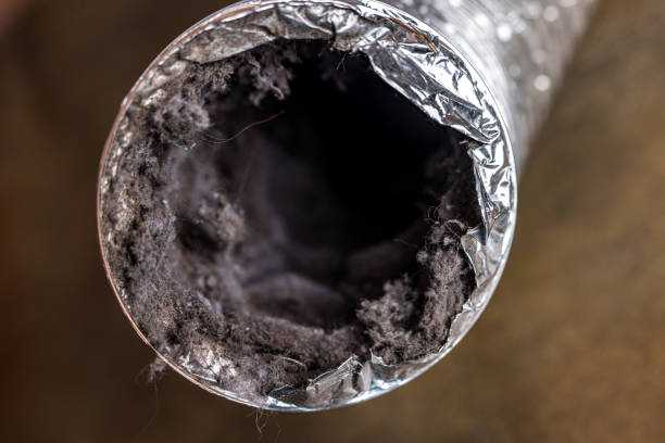 Best Air Duct Cleaning Near Me  in North Pearsall, TX