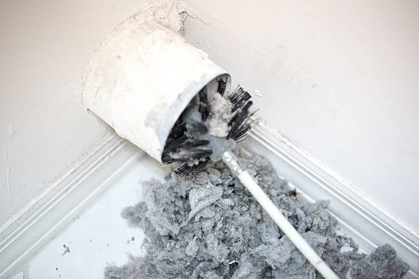 Professional Airduct Cleaning in North Pearsall, TX